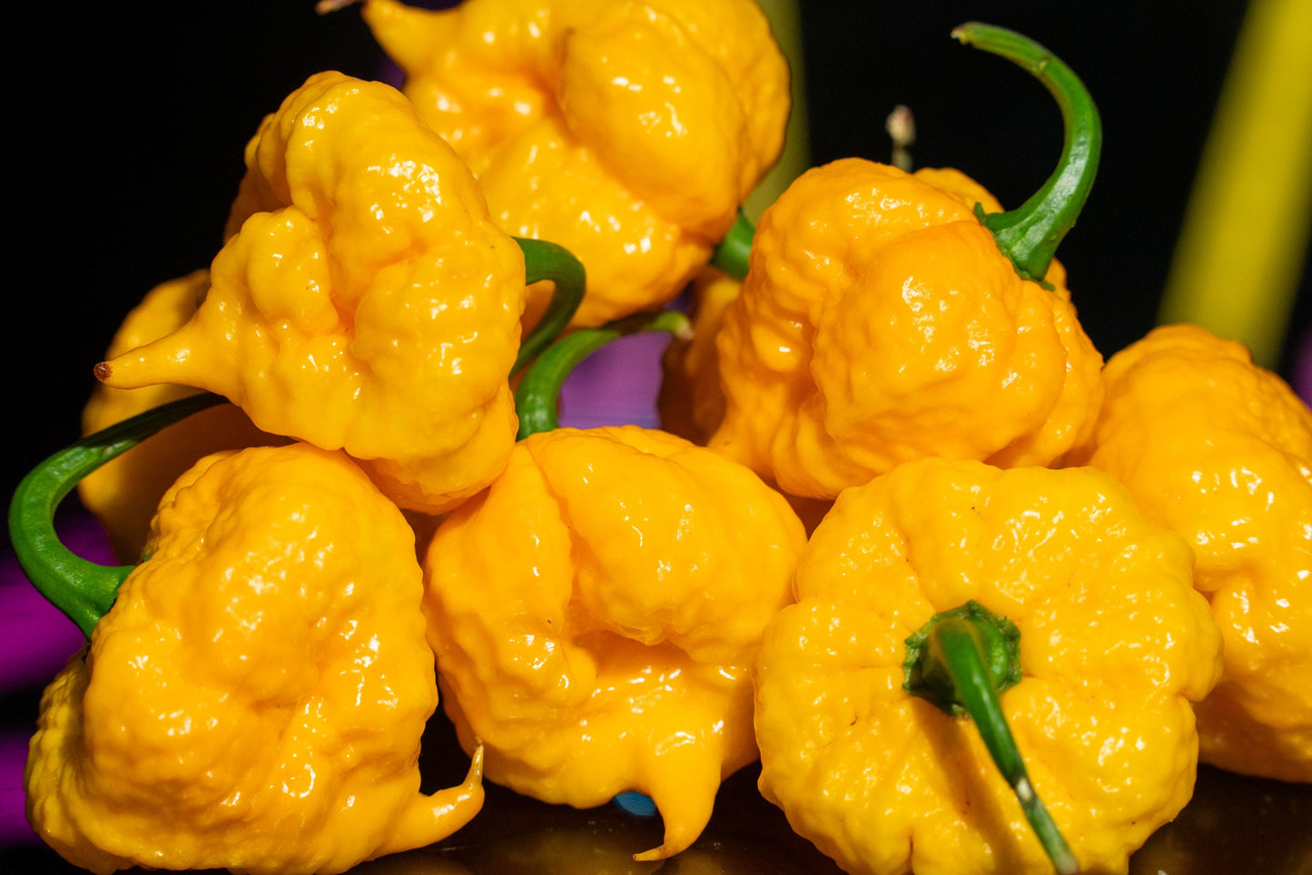 FRESH PEPPERS