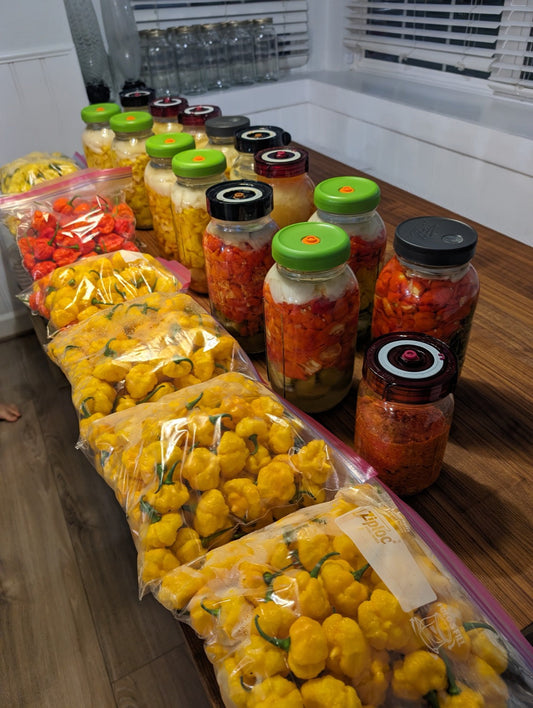 How to Ferment Hot Sauce in a Mason Jar: Our Grandfather's Method