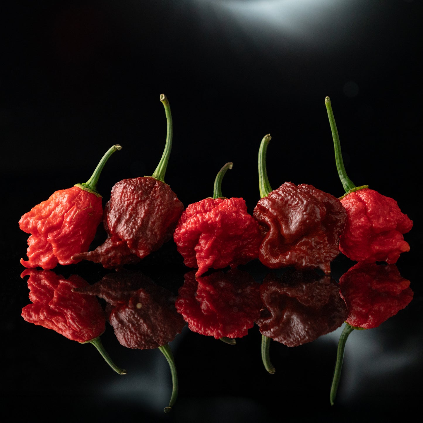 TEXAS GROWN FRESH PEPPERS