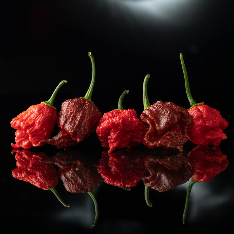 TEXAS GROWN PEPPER SEEDS