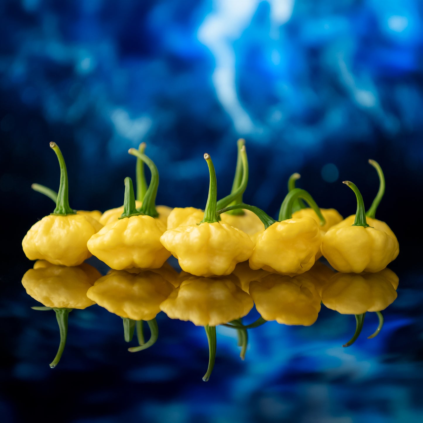 TEXAS GROWN FRESH PEPPERS