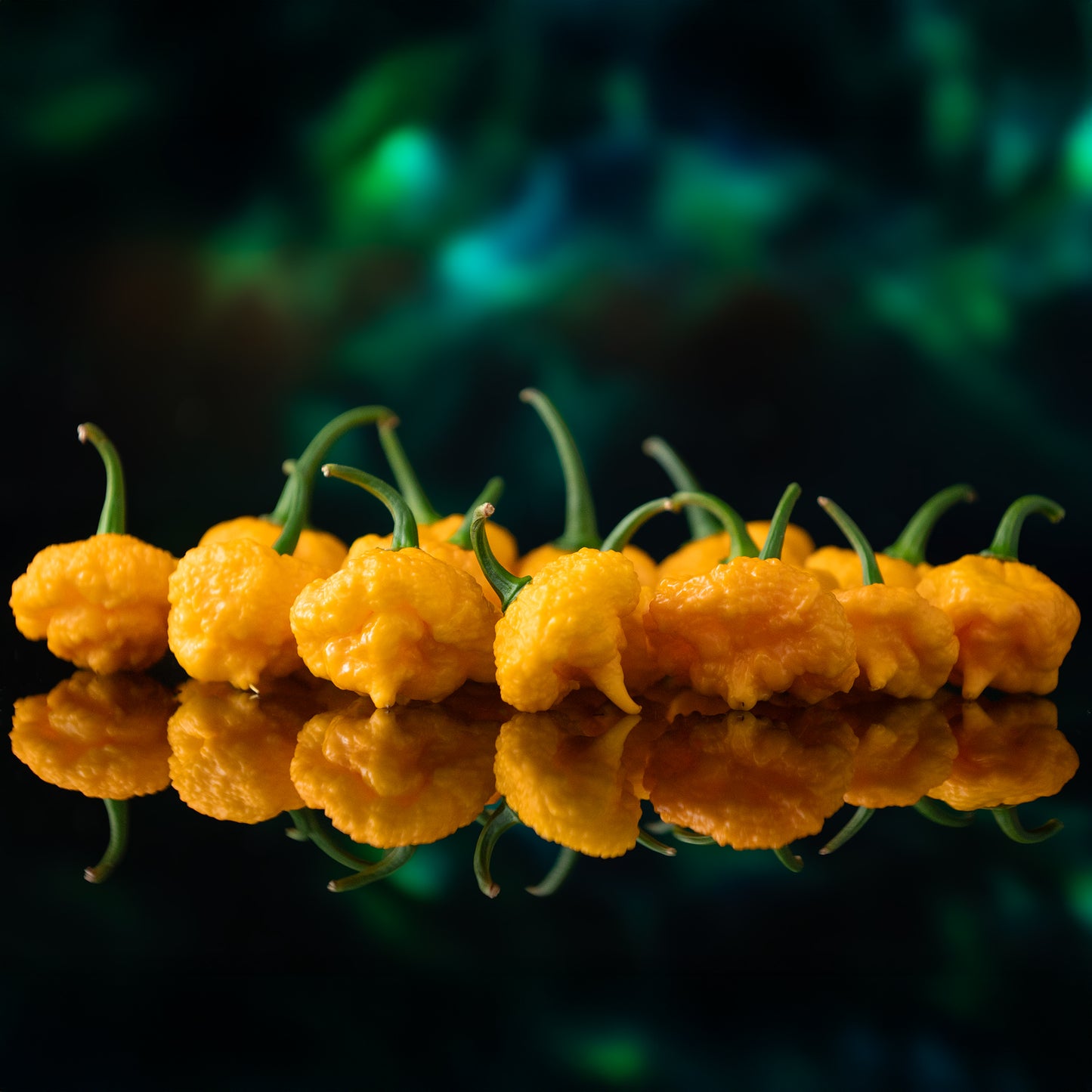 TEXAS GROWN PEPPER SEEDS